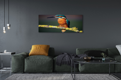 Tableaux sur toile canvas Oiseau coloré sur une branche