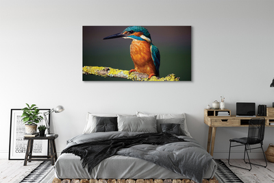 Tableaux sur toile canvas Oiseau coloré sur une branche