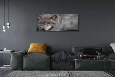 Tableaux sur toile canvas Loup