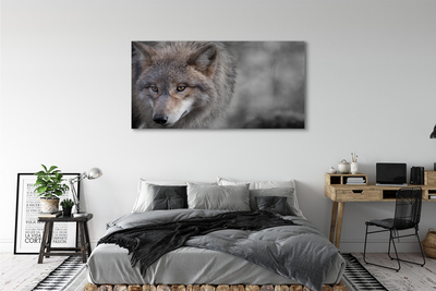Tableaux sur toile canvas Loup