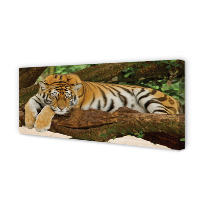 Tableaux sur toile canvas Arbre tigre