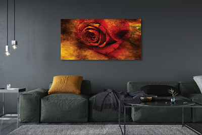 Tableaux sur toile canvas Photo rose