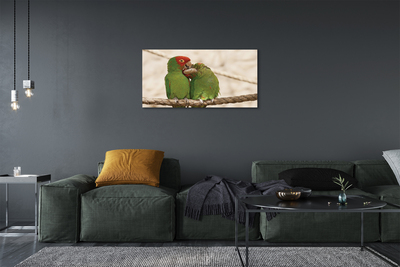 Tableaux sur toile canvas Perroquets verts