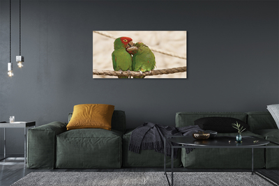 Tableaux sur toile canvas Perroquets verts