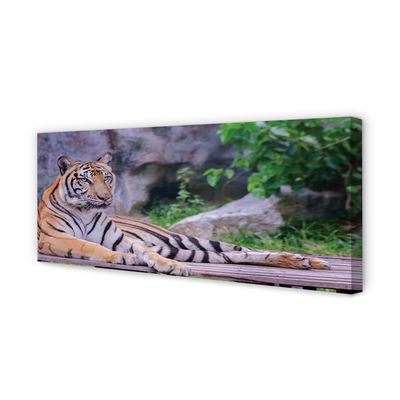 Tableaux sur toile canvas Tiger dans un zoo