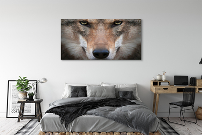 Tableaux sur toile canvas Yeux de loup