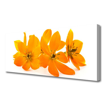 Tableaux sur toile Fleurs floral orange