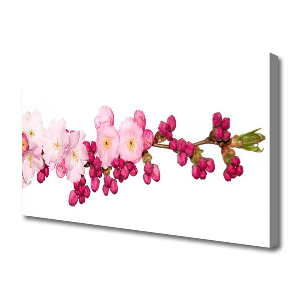 Tableaux sur toile Fleurs branche floral rose