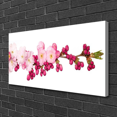 Tableaux sur toile Fleurs branche floral rose