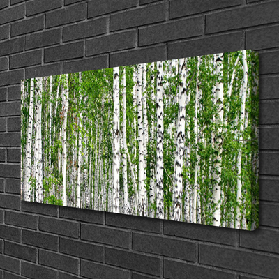 Tableaux sur toile Bouleau forêt arbres nature vert blanc