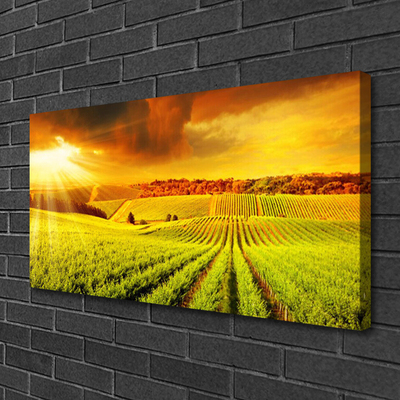 Tableaux sur toile Champ coucher du soleil paysage vert jaune