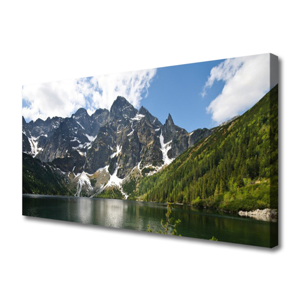 Tableaux sur toile Montagne lac forêt paysage vert bleu blanc gris