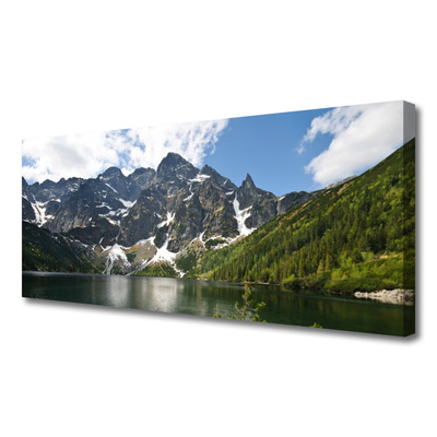 Tableaux sur toile Montagne lac forêt paysage vert bleu blanc gris