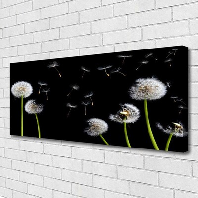 Tableaux sur toile Pissenlits floral noir vert blanc