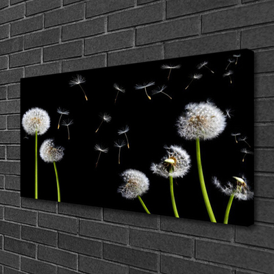 Tableaux sur toile Pissenlits floral noir vert blanc