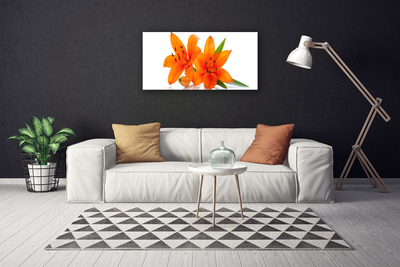 Tableaux sur toile Fleurs floral orange vert blanc