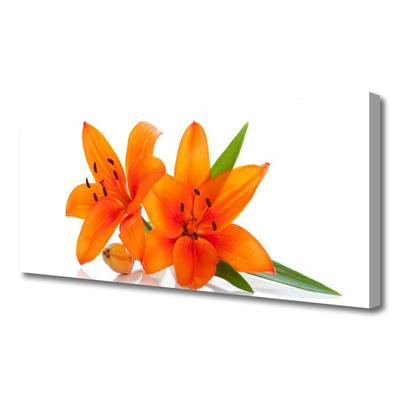 Tableaux sur toile Fleurs floral orange vert blanc