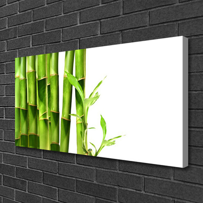 Tableaux sur toile Bambou floral vert blanc