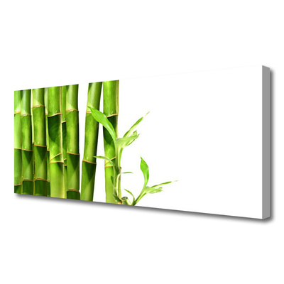 Tableaux sur toile Bambou floral vert blanc