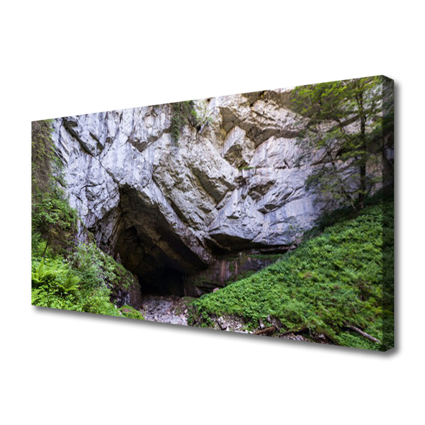 Tableaux sur toile Caverne de montagne nature vert gris