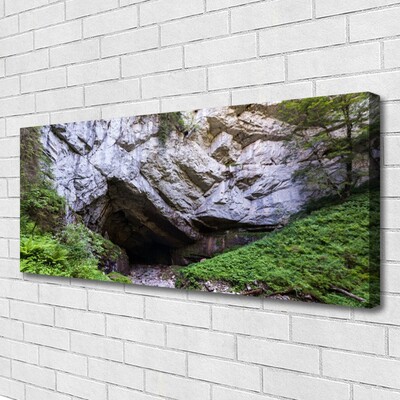 Tableaux sur toile Caverne de montagne nature vert gris