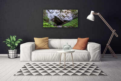 Tableaux sur toile Caverne de montagne nature vert gris