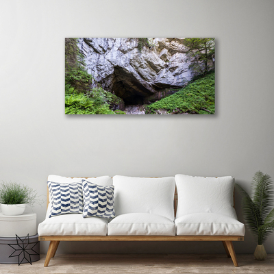 Tableaux sur toile Caverne de montagne nature vert gris