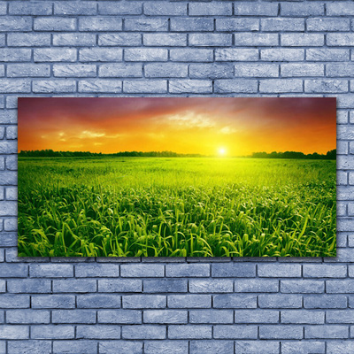 Tableaux sur toile Champ de blé lever du soleil floral vert rouge