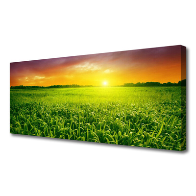 Tableaux sur toile Champ de blé lever du soleil floral vert rouge