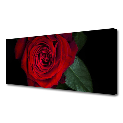 Tableaux sur toile Rose floral rouge vert noir