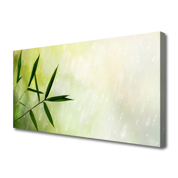 Tableaux sur toile Feuilles pluie floral vert