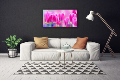 Tableaux sur toile Tulipes floral rose