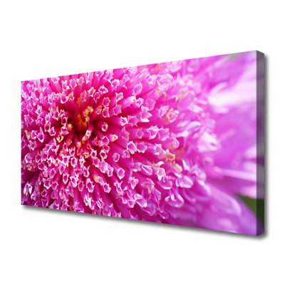 Tableaux sur toile Fleur floral rose