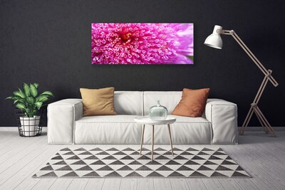 Tableaux sur toile Fleur floral rose