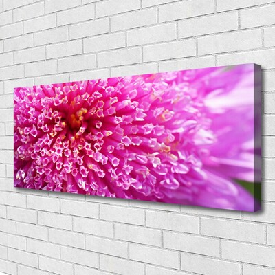 Tableaux sur toile Fleur floral rose