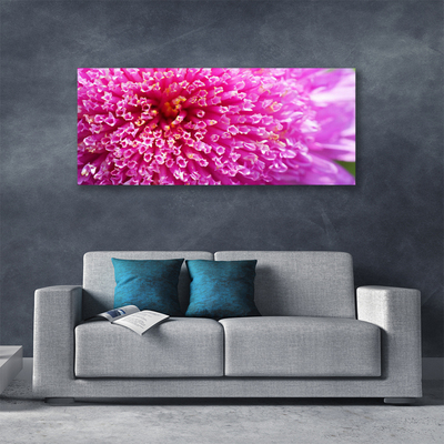 Tableaux sur toile Fleur floral rose