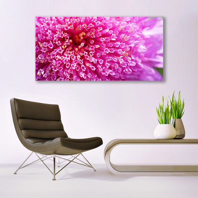 Tableaux sur toile Fleur floral rose