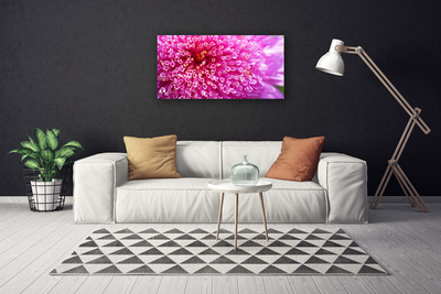 Tableaux sur toile Fleur floral rose