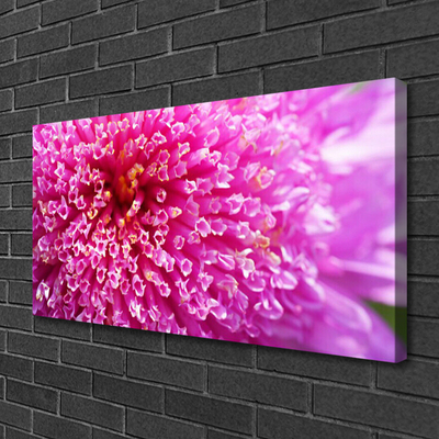 Tableaux sur toile Fleur floral rose