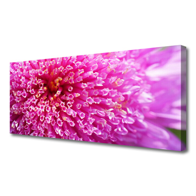 Tableaux sur toile Fleur floral rose