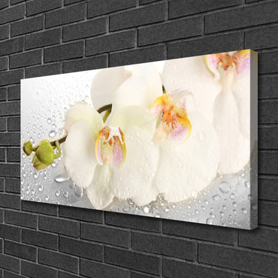 Tableaux sur toile Fleurs floral blanc gris