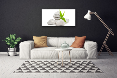 Tableaux sur toile Pierres nature gris vert blanc