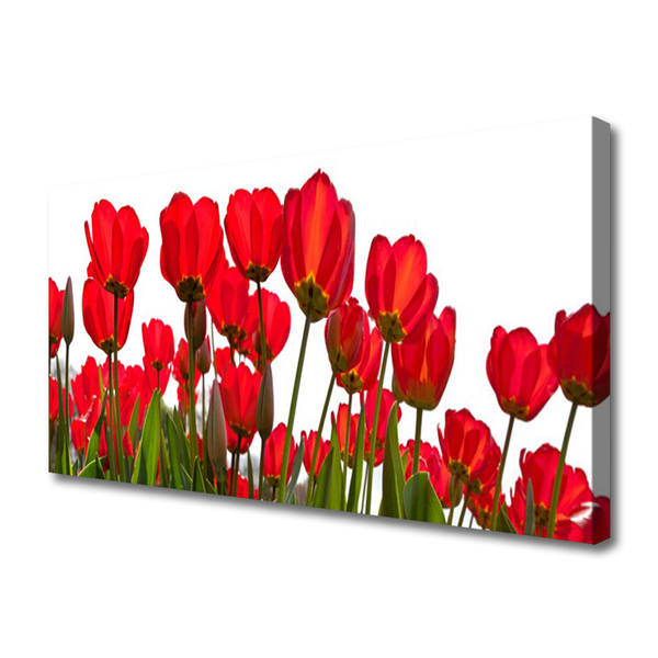 Tableaux sur toile Fleurs floral rouge vert blanc