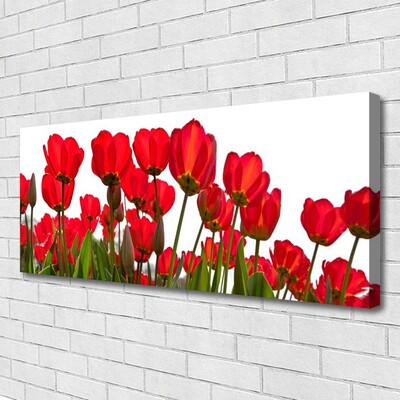 Tableaux sur toile Fleurs floral rouge vert blanc
