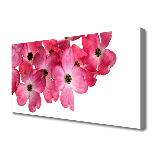 Tableaux sur toile Fleurs floral rose blanc