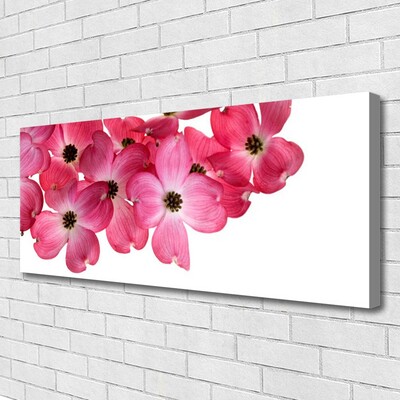 Tableaux sur toile Fleurs floral rose blanc