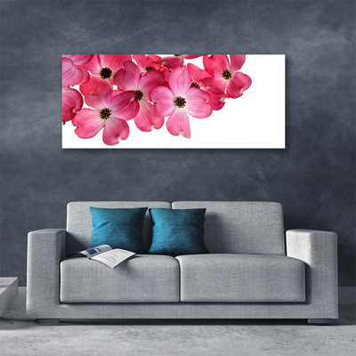 Tableaux sur toile Fleurs floral rose blanc