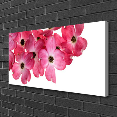 Tableaux sur toile Fleurs floral rose blanc