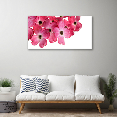 Tableaux sur toile Fleurs floral rose blanc