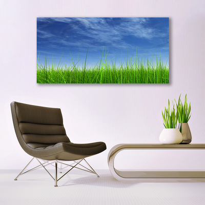 Tableaux sur toile Ciel herbe nature bleu vert